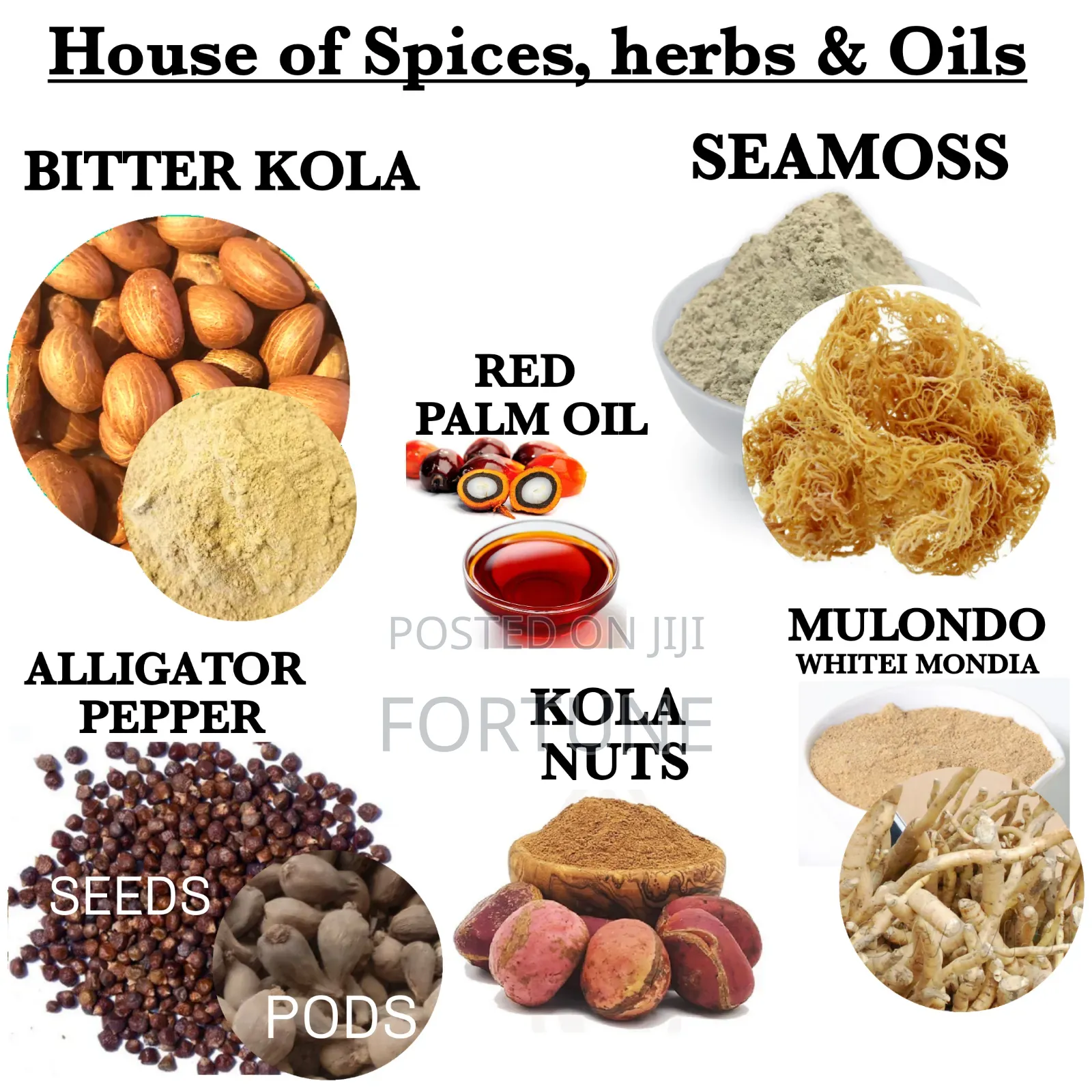 House of Herbs