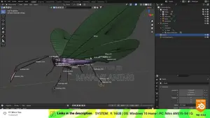 3D Artist And Animator