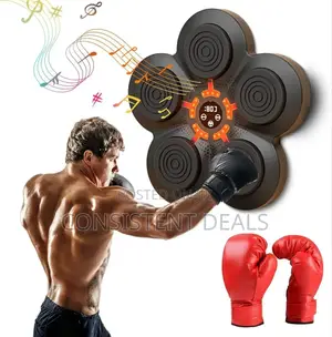 Wall Mounted Smart Boxing Machine
