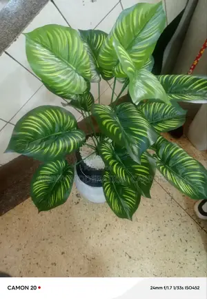 Morden Artificial Plant