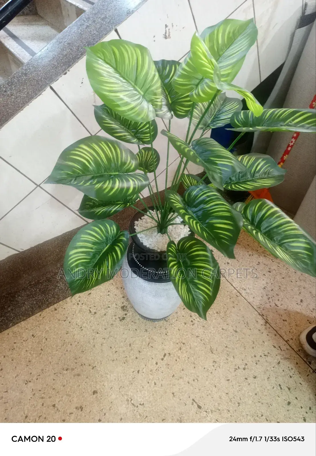 Morden Artificial Plant