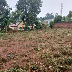 Najjanankumbi Ntebe Rd