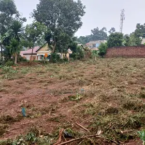 Najjanankumbi Ntebe Rd