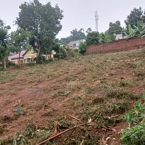 Najjanankumbi Ntebe Rd