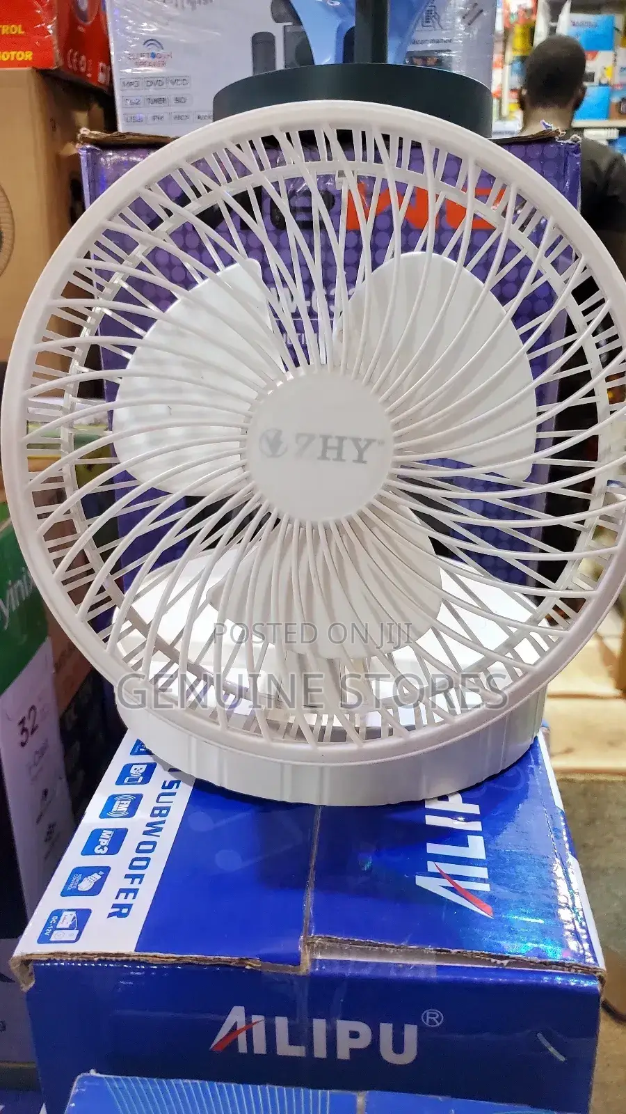 Portable Fan