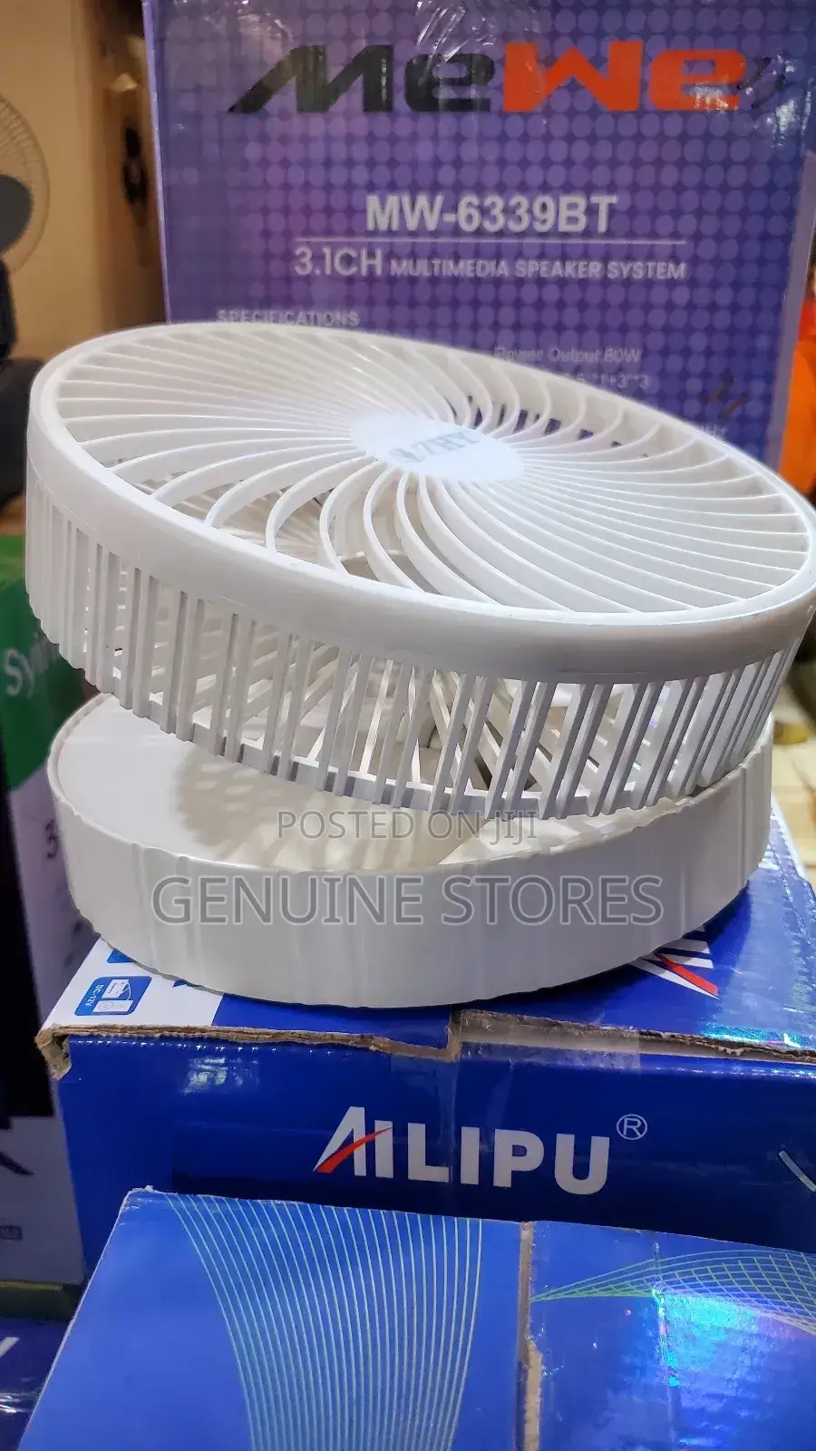 Portable Fan