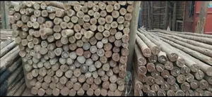 Eucalyptus Poles( Kalitunsi)Diameter 3-5 Inch,Length 26-28ft