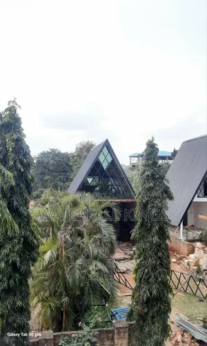 Cottage Construction and Improvement