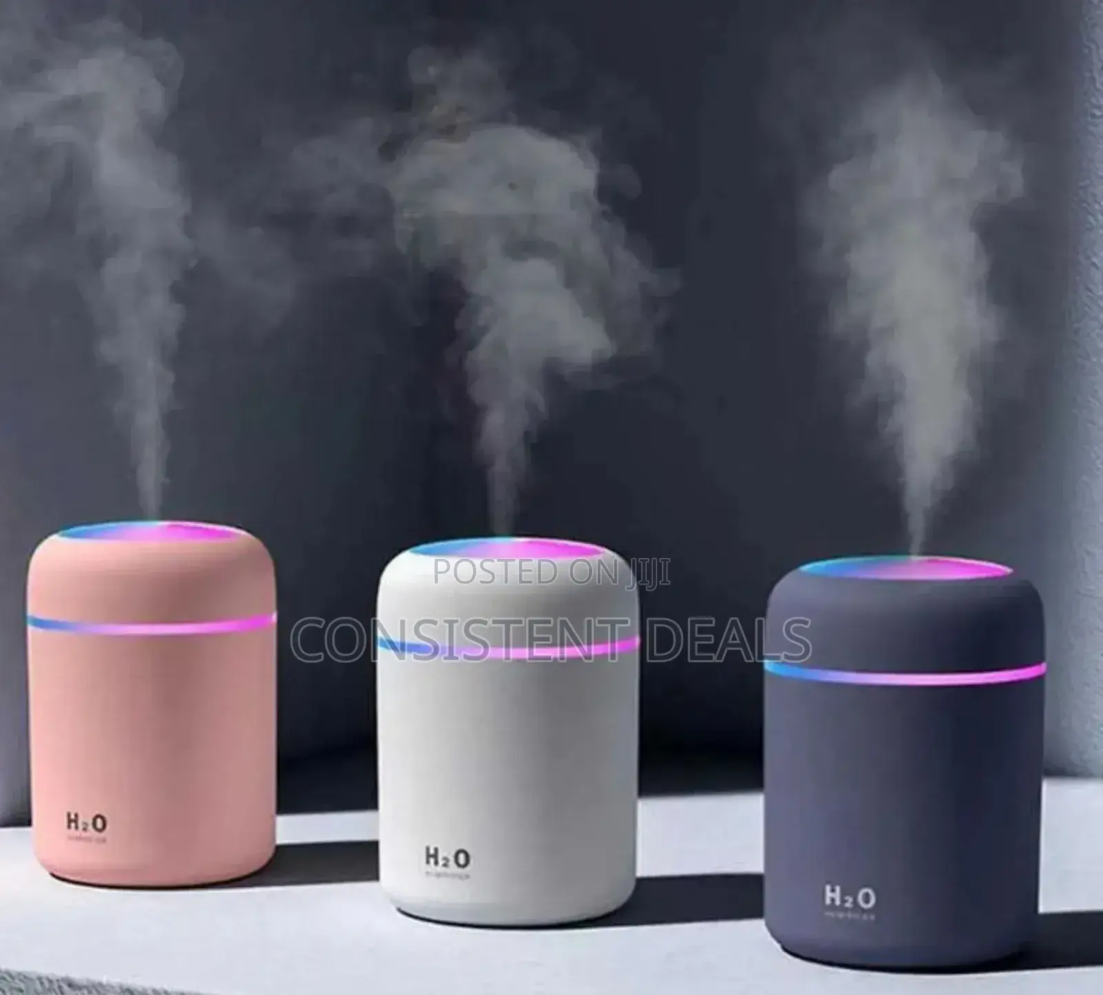 Portable Humidifier