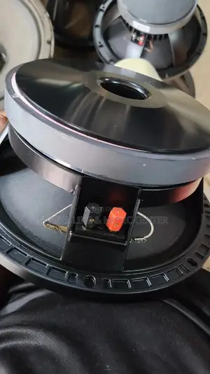 Woofer Speaker 10inch Coil 75.5 Cm