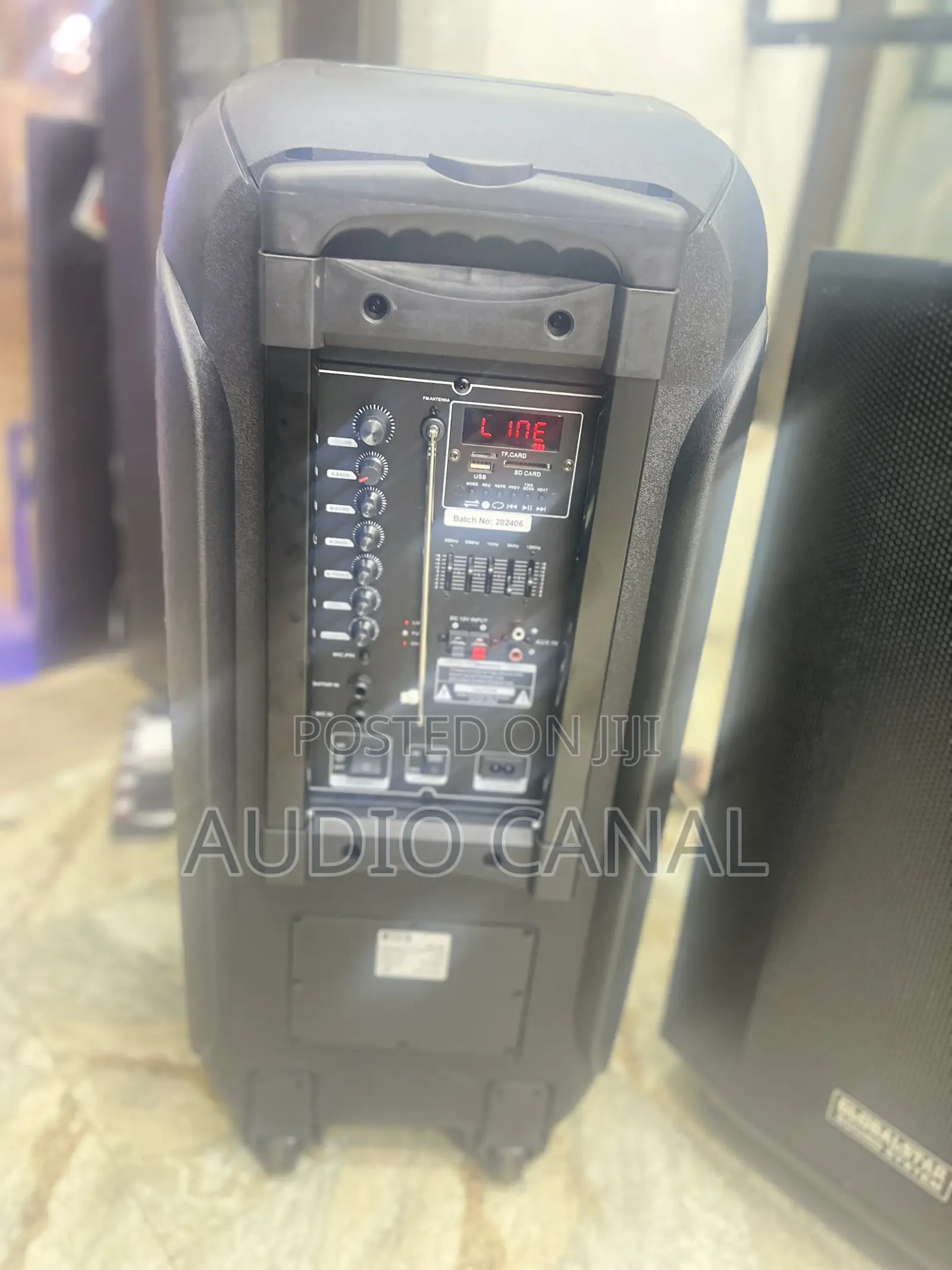 12” Dual Rechargeable Speaker