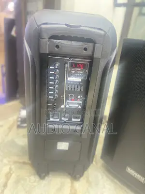 12” Dual Rechargeable Speaker