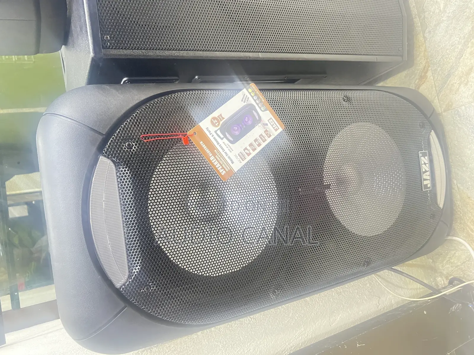 12” Dual Rechargeable Speaker