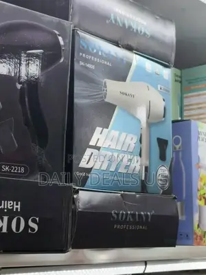 Electric Hair Dryer