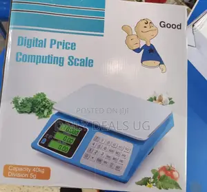 Personal Digital Scale