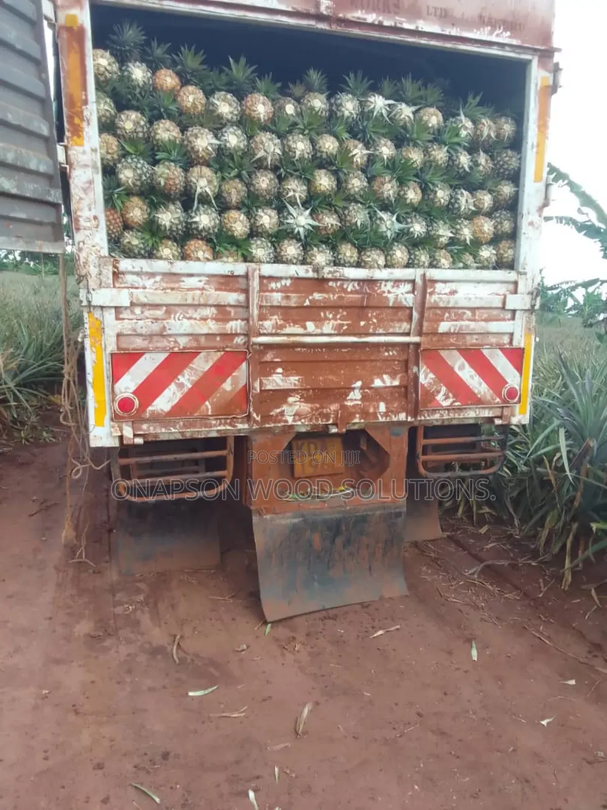 Pineapples