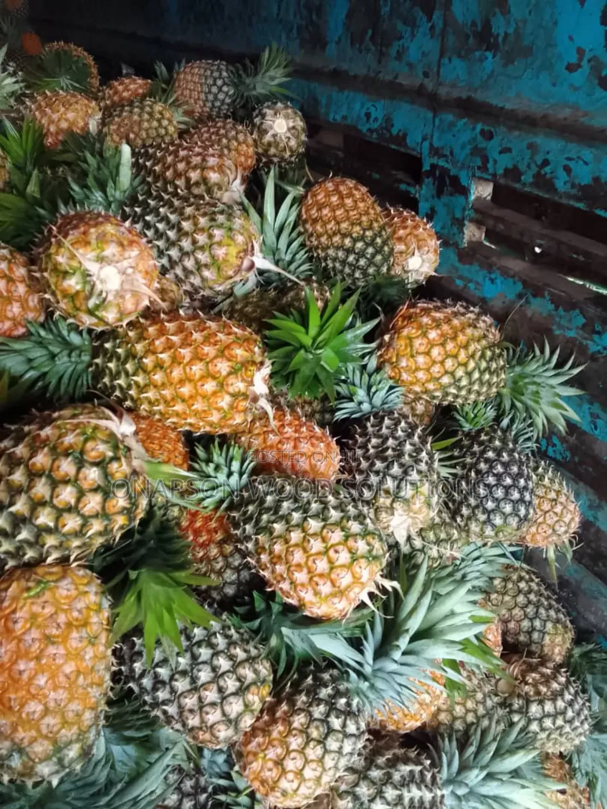 Pineapples