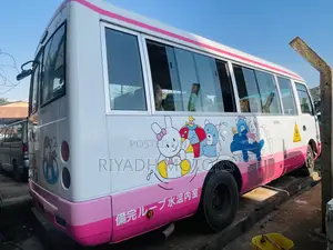 Mitsubishi Fuso Rosa 2012 White