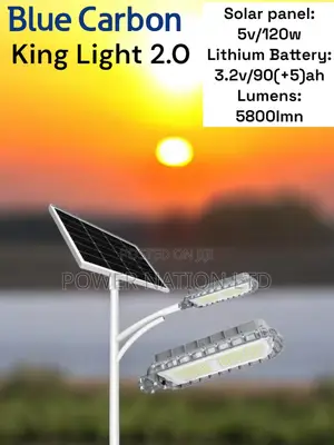 2.0 Blue Carbon King Solar Street Light W/T Panel 120w 90ah