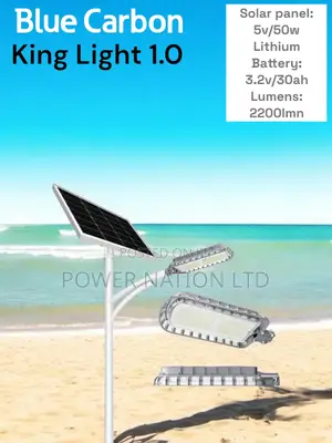 1.0 Blue Carbon King Solar Street Light With 2200 Lumens
