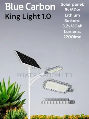 1.0 Blue Carbon King Solar Street Light W/T Panel 50w 30ah