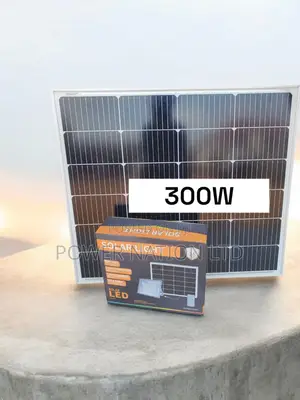 300w Wawa Blue Carbon Solar Flood Light With 2000 Lumens