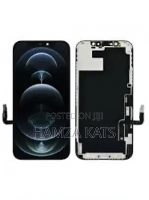 Apple iPhone 12pro Max Screen Replacement