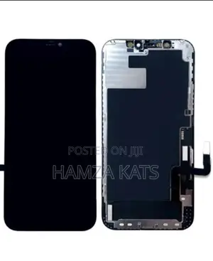 Apple iPhone 12pro Max Screen Replacement