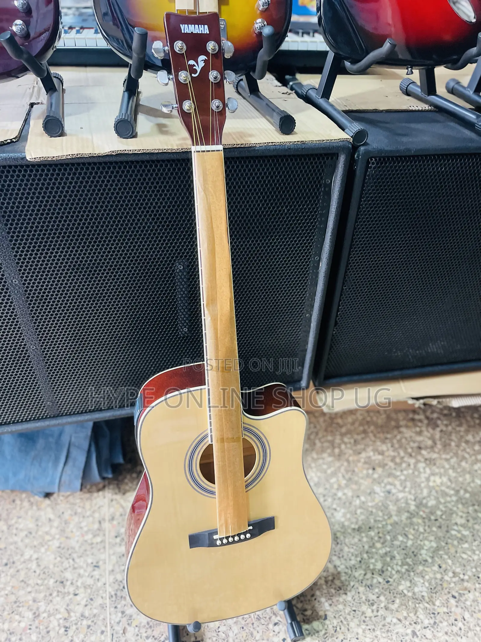 Powered Clear Sound Acoustic Guitars