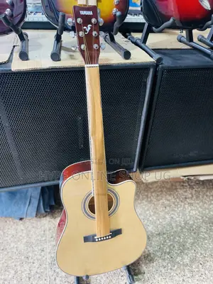 Powered Clear Sound Acoustic Guitars