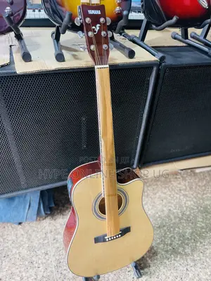 Powered Clear Sound Acoustic Guitars