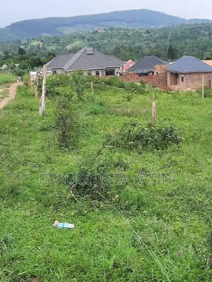 Genuine Plot Sellers
