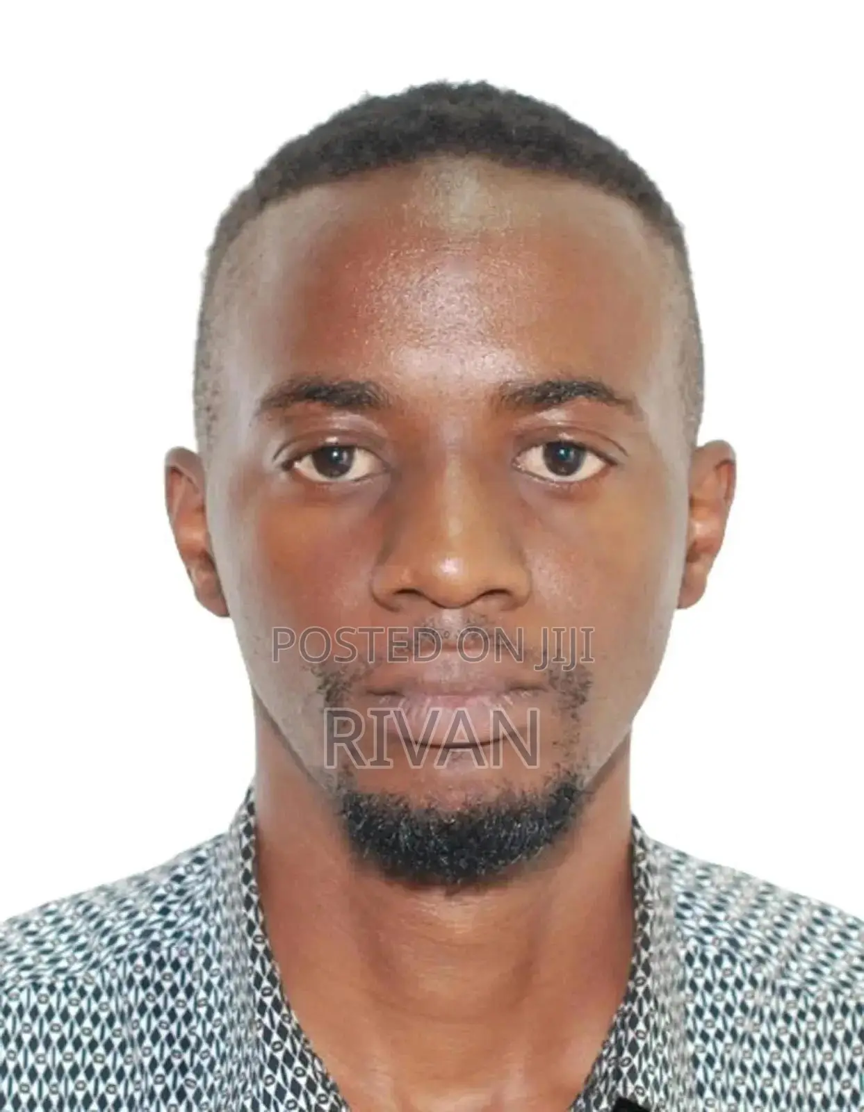 Software Engineer