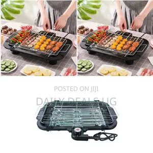 Electric BBQ Grill
