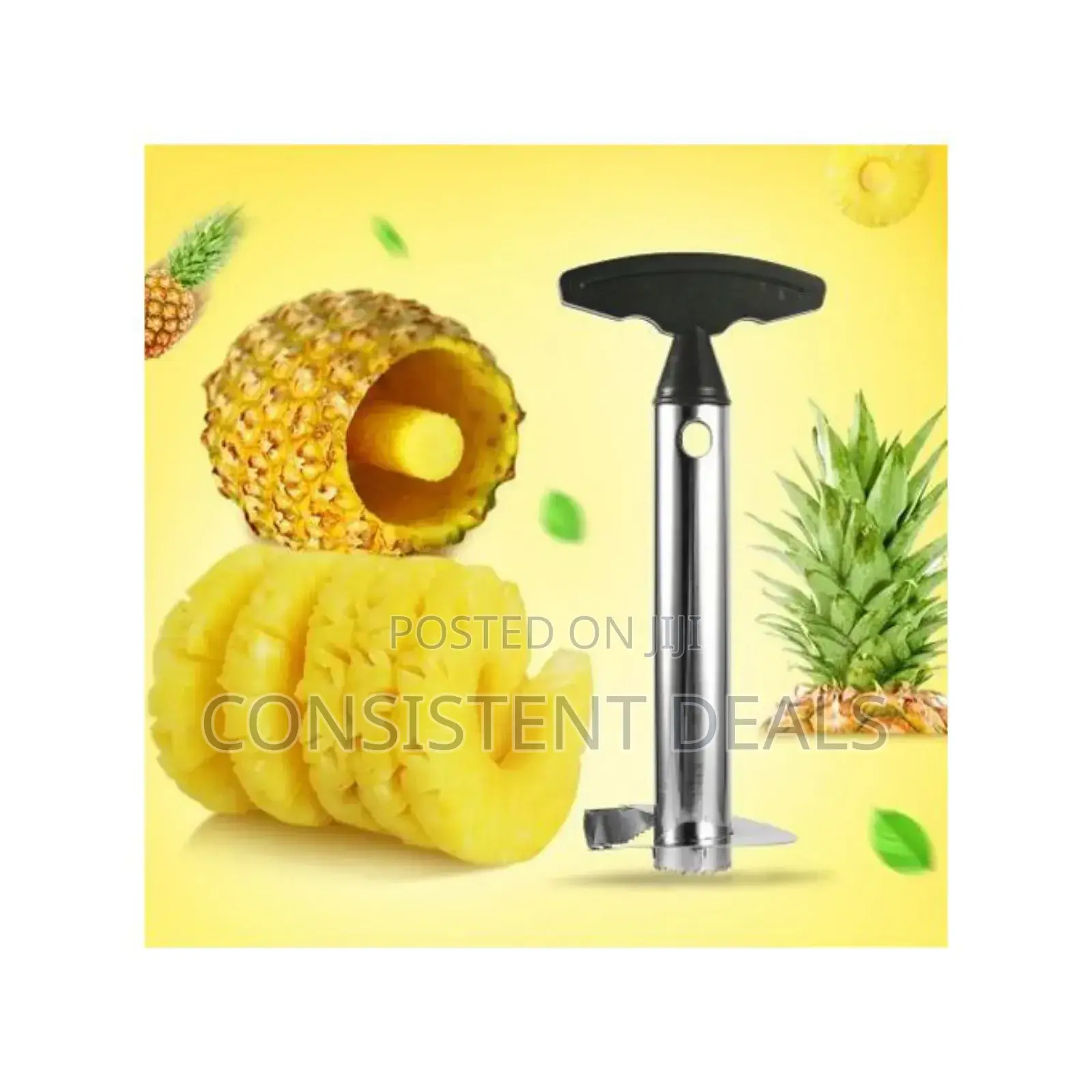 Stainless Steel Pineapple Cutter/ Slicer