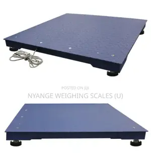 Digital Weighing Electronics Platform Floor Scale Xk3190–A12