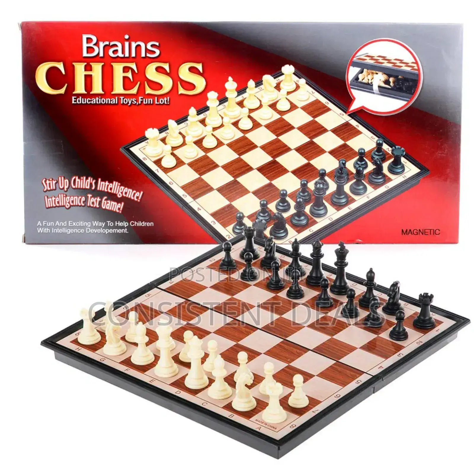 Brain Chess Foldable Board Game