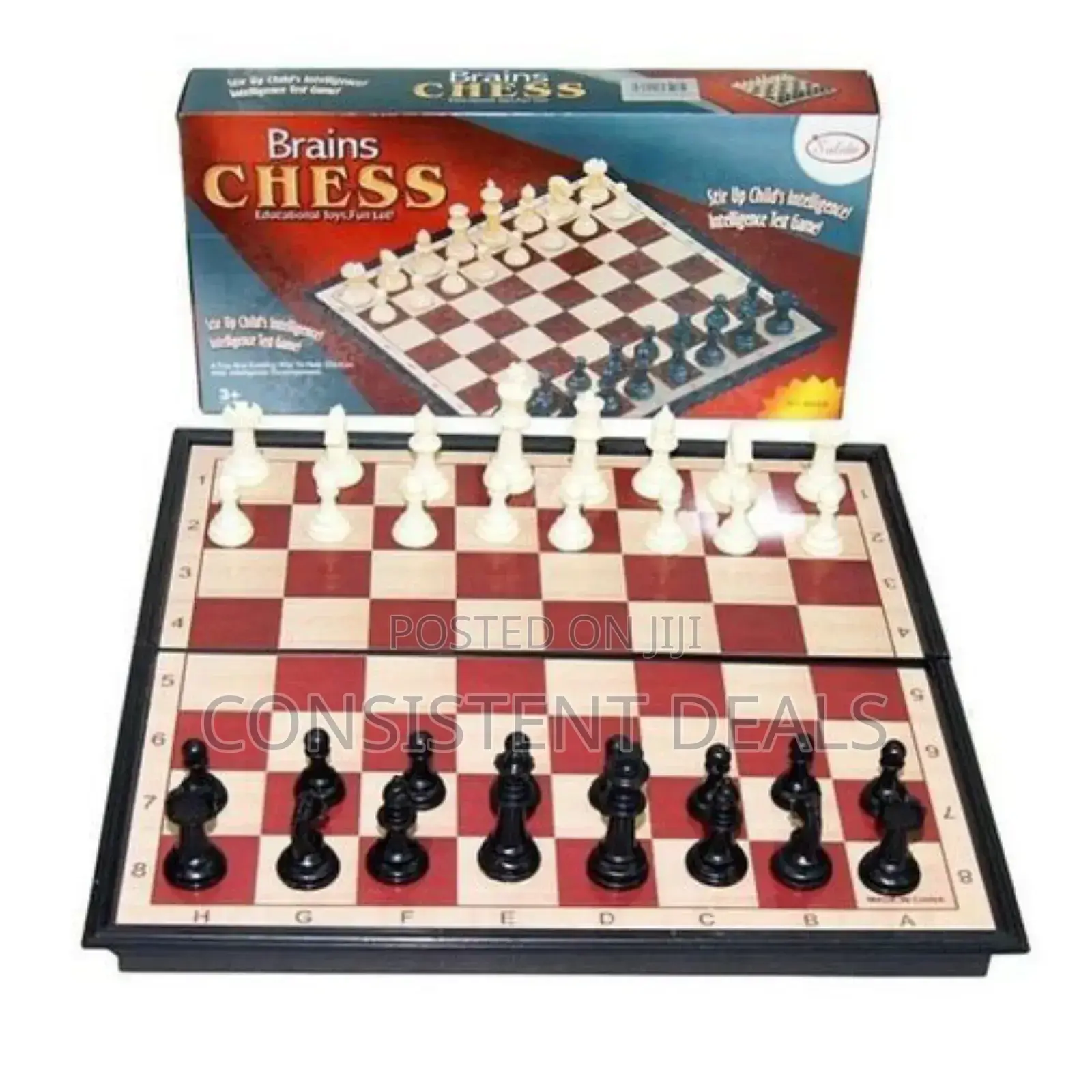 Brain Chess Foldable Board Game