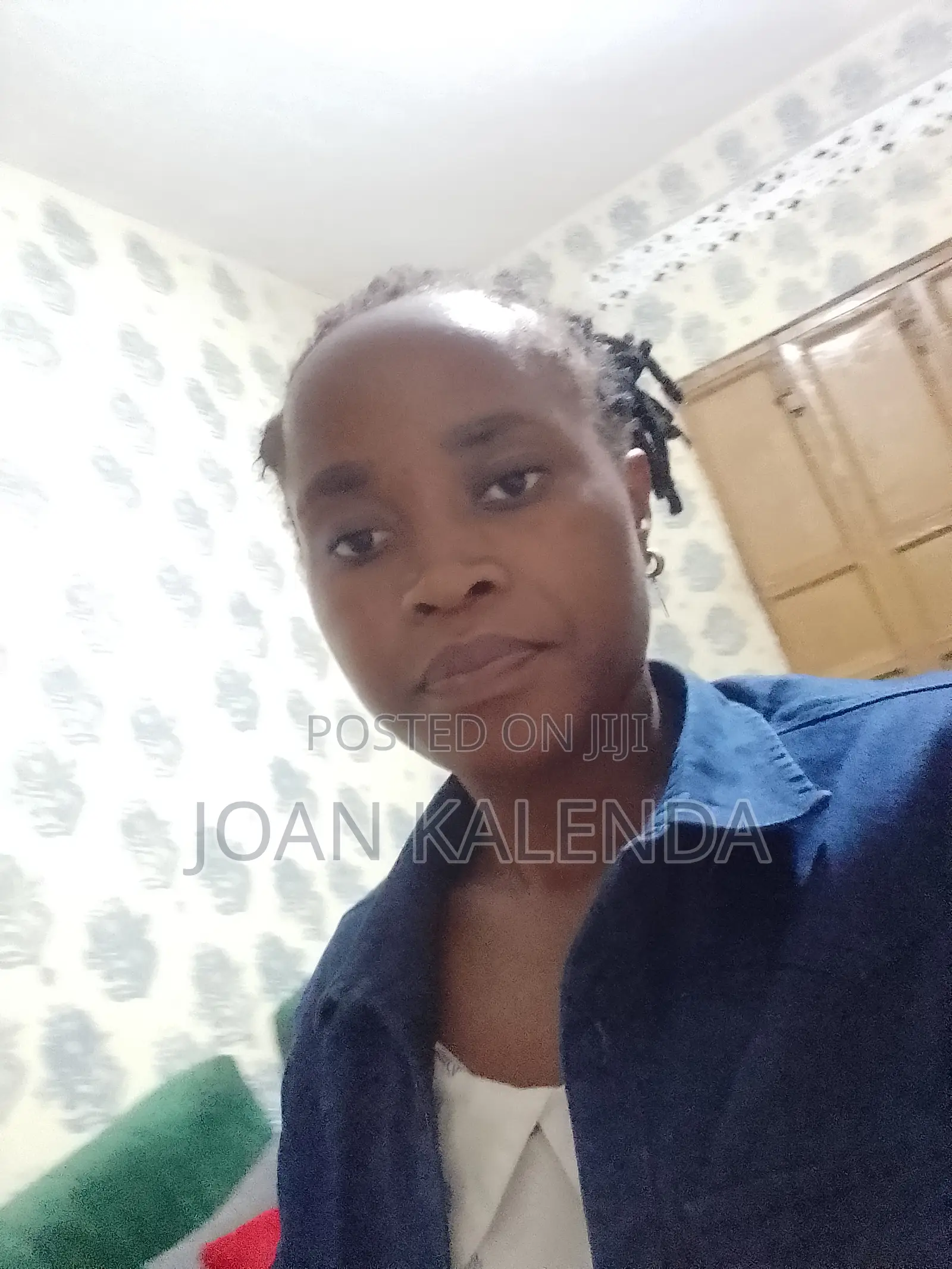 Housekeeping Cleaning CV
