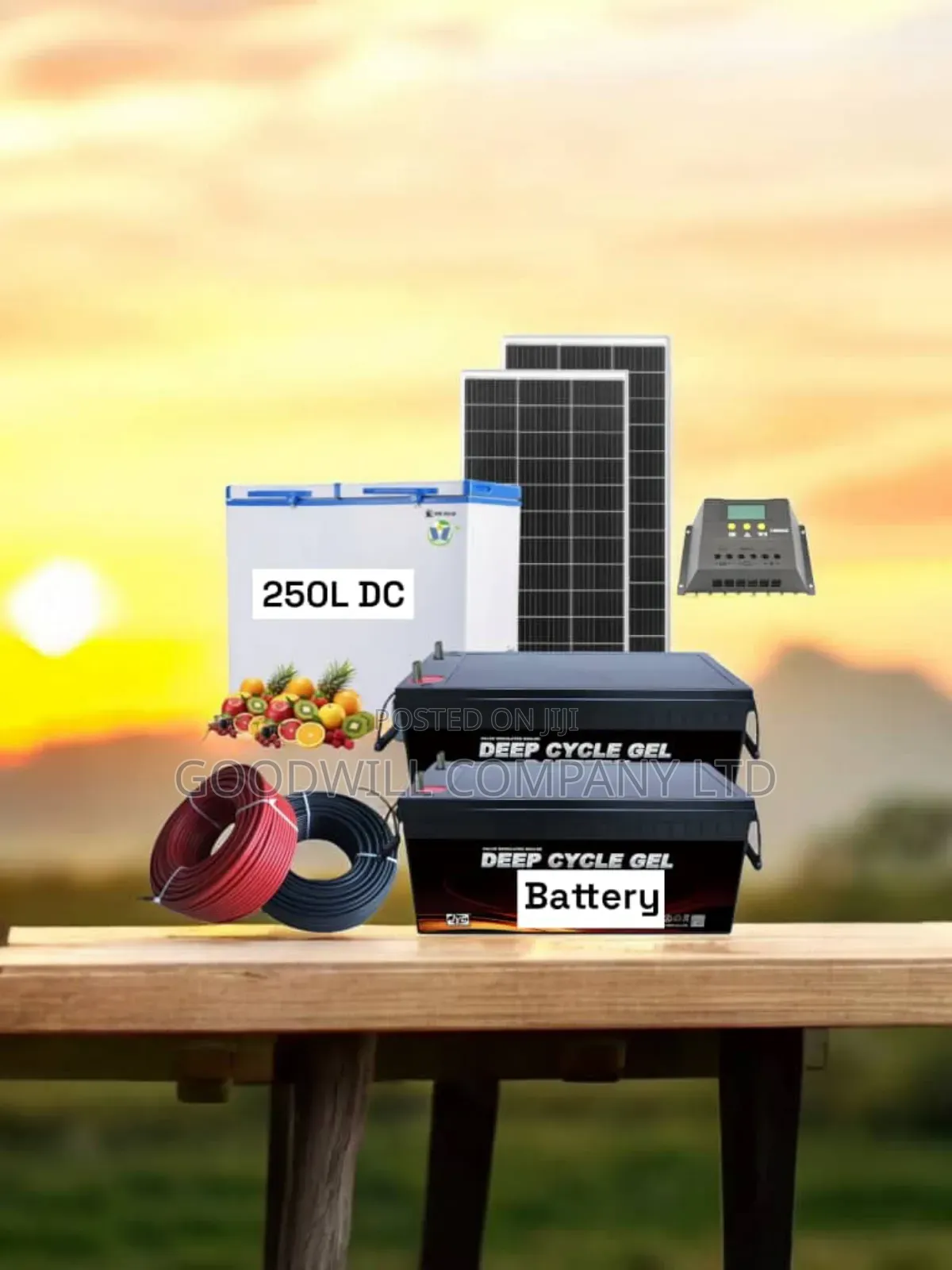 600w Solar Kit 250l Solar Deep Freezer
