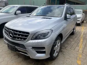 Mercedes-Benz M Class 2013 Silver