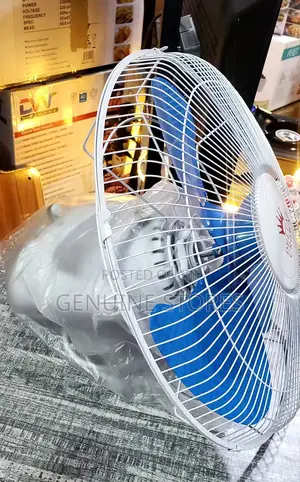 Ceiling Fan