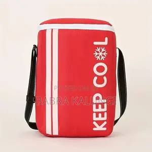 15L Portable Thermal Insulated Travel Basket Cooler Bag