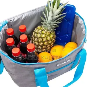 Portable Travel Cooler Bag for Grocery Shop