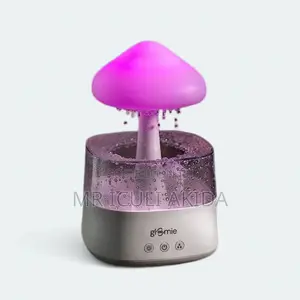 Raindrop Humidifier