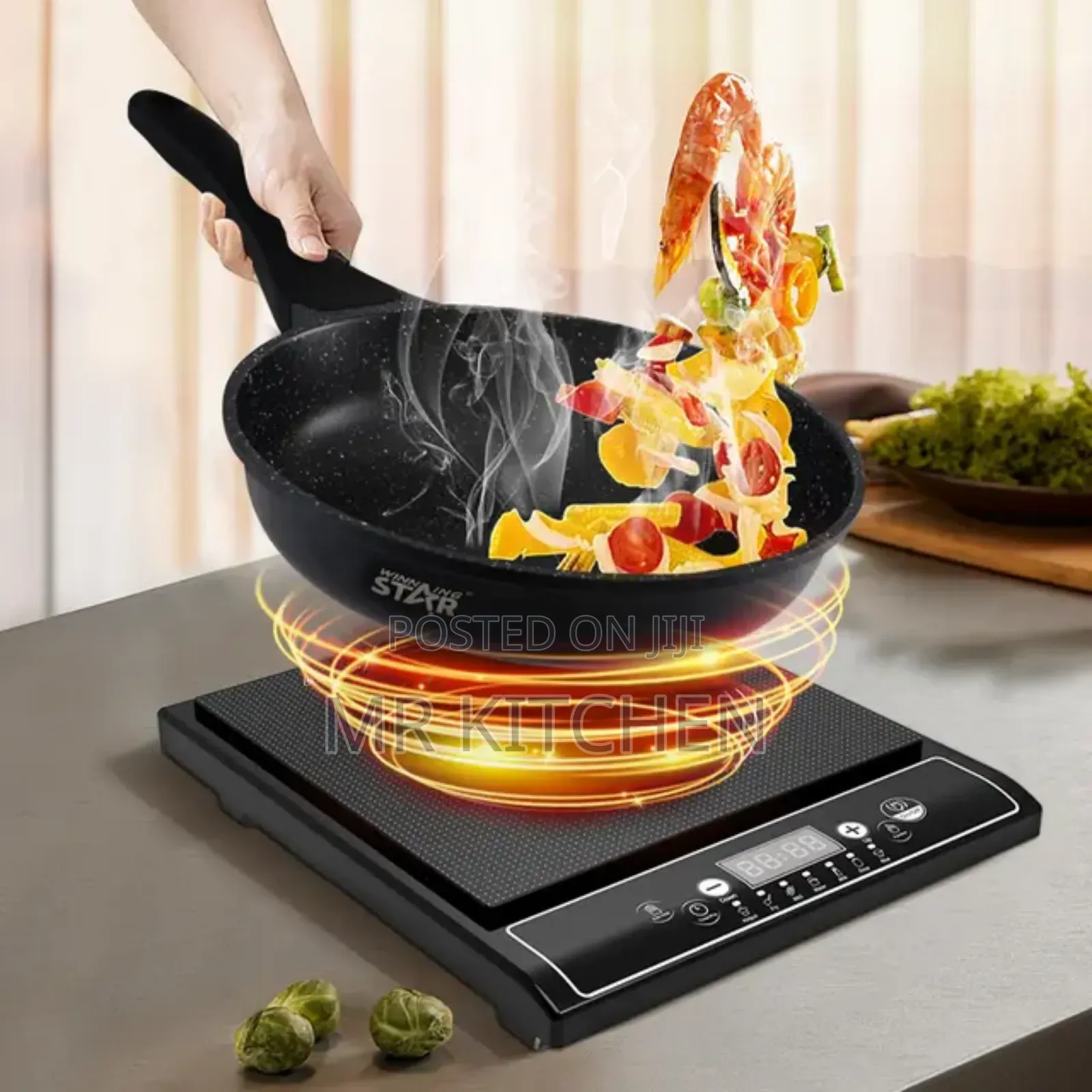 Digital Induction Cooker (Winning Star)
