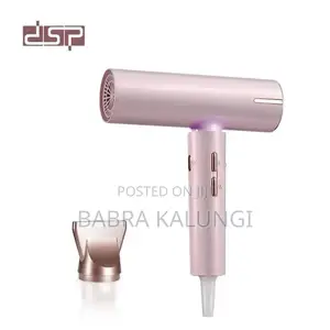 DSP 1600W Magnetic Attraction Hair Care Mini