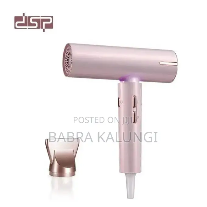 DSP 1600W Magnetic Attraction Hair Care Mini