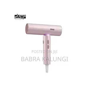DSP 1600W Magnetic Attraction Hair Care Mini