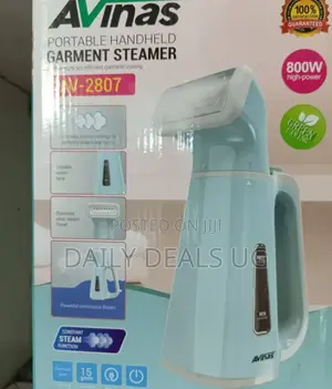 Electric Avinas Garment Steamer